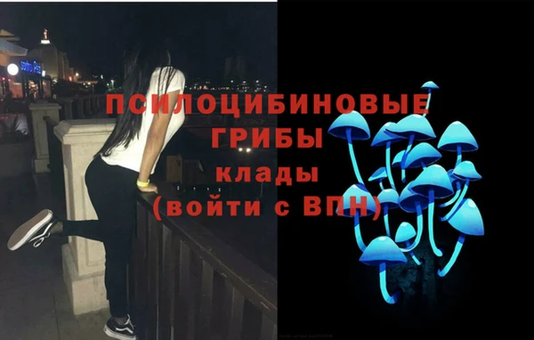 mdma Дмитровск