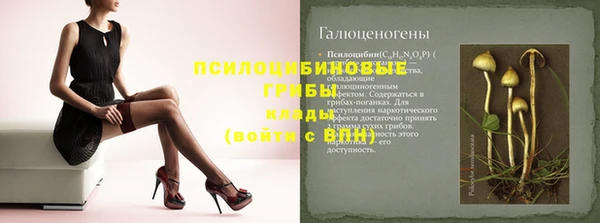 mdma Дмитровск