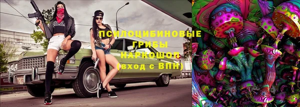 дживик Гусиноозёрск