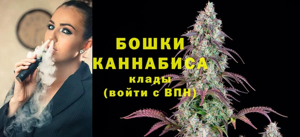 дживик Гусиноозёрск