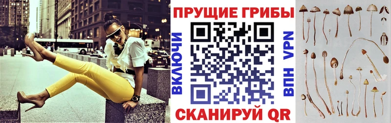 Псилоцибиновые грибы мухоморы  как найти наркотики  Дербент 